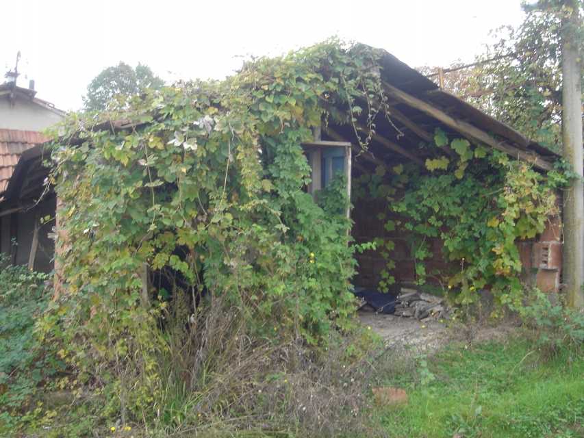 Земеделски имот в Сливек