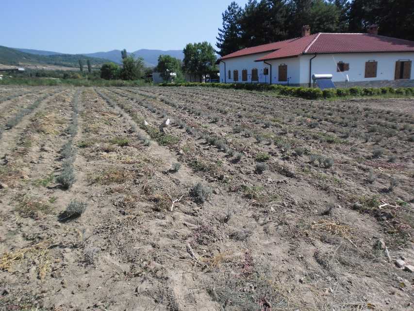 Земеделска земя в Зелениково