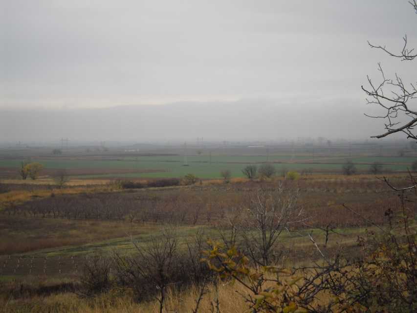 Земеделска земя в Брестовица