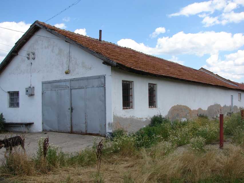 Земеделски имот в Дянково