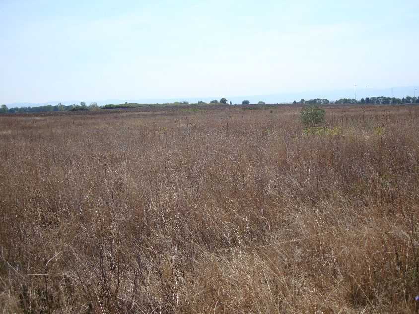 Земеделска земя в Григорево