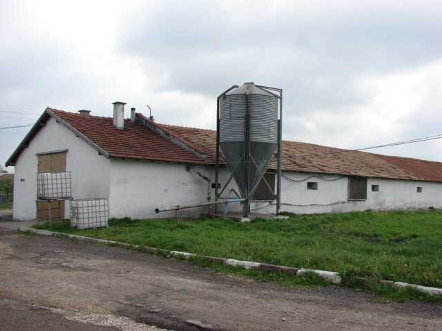 Земеделски имот в Дянково