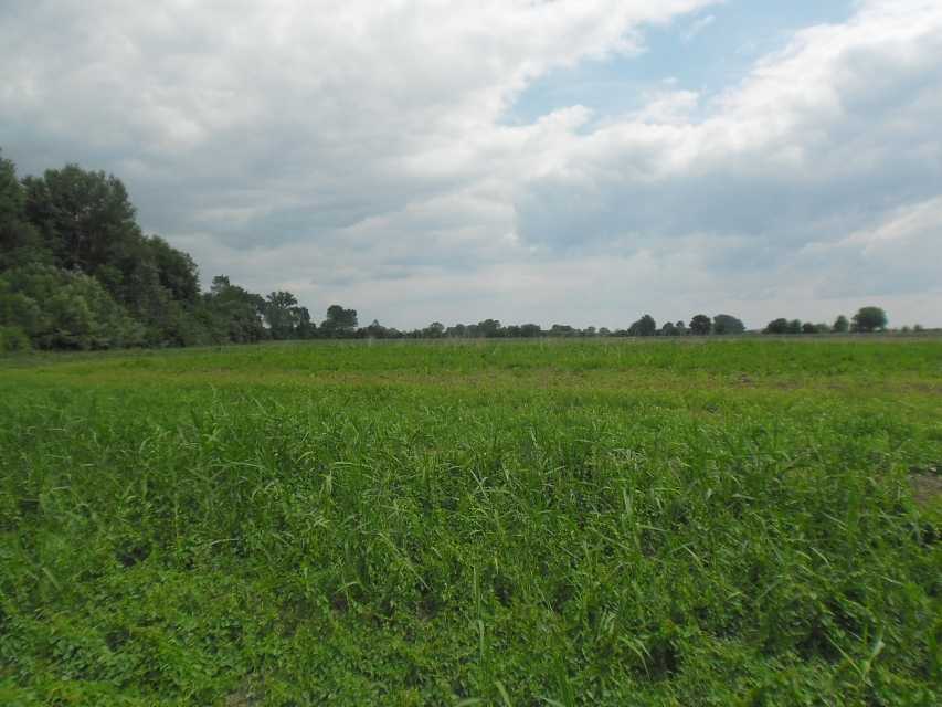 Земеделска земя в Поповица