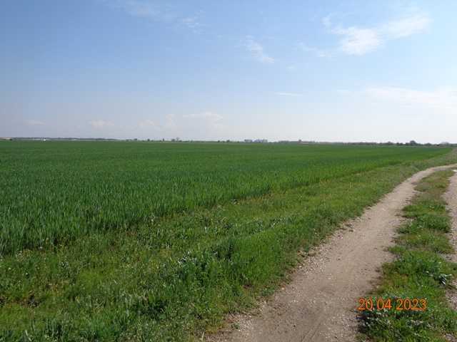 Земеделска земя в с. Царацово