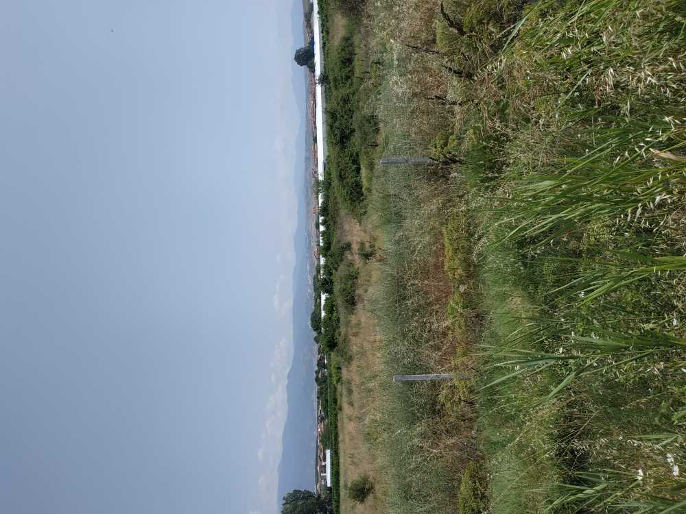 Земеделска земя в гр. Сандански