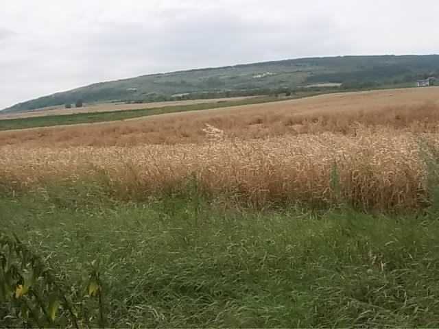 Парцел в Рогачево