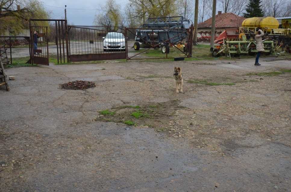 Земеделски имот в Малки Вършец