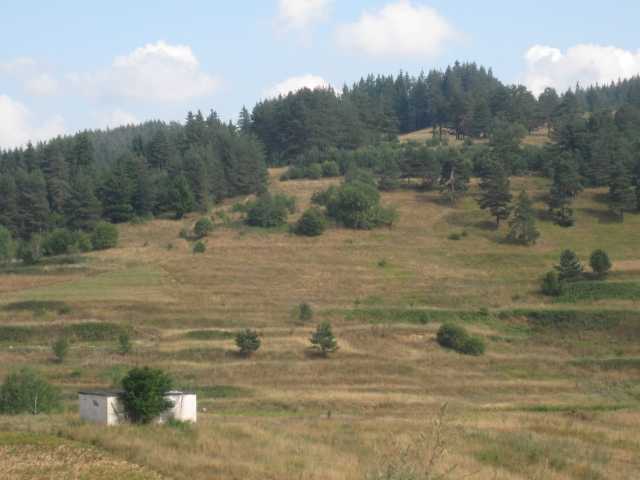 Земеделска земя в Борино