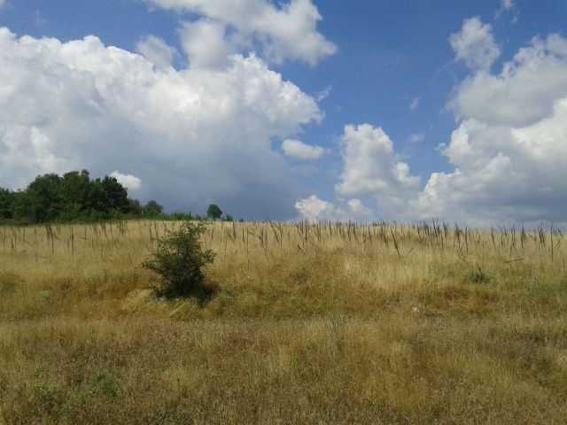 Земеделски имот в Българчево