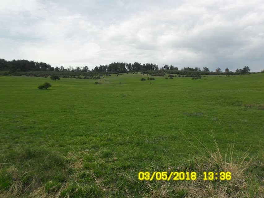 Земеделска земя в Батак