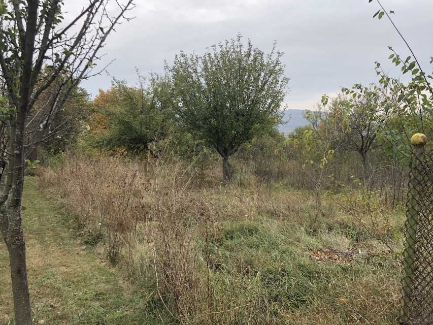 Парцел в Златна Панега