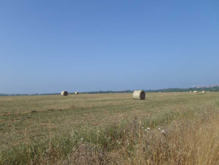 Земеделска земя в Равадиново
