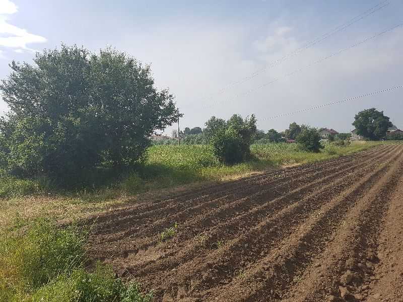 Земеделска земя в Петърч