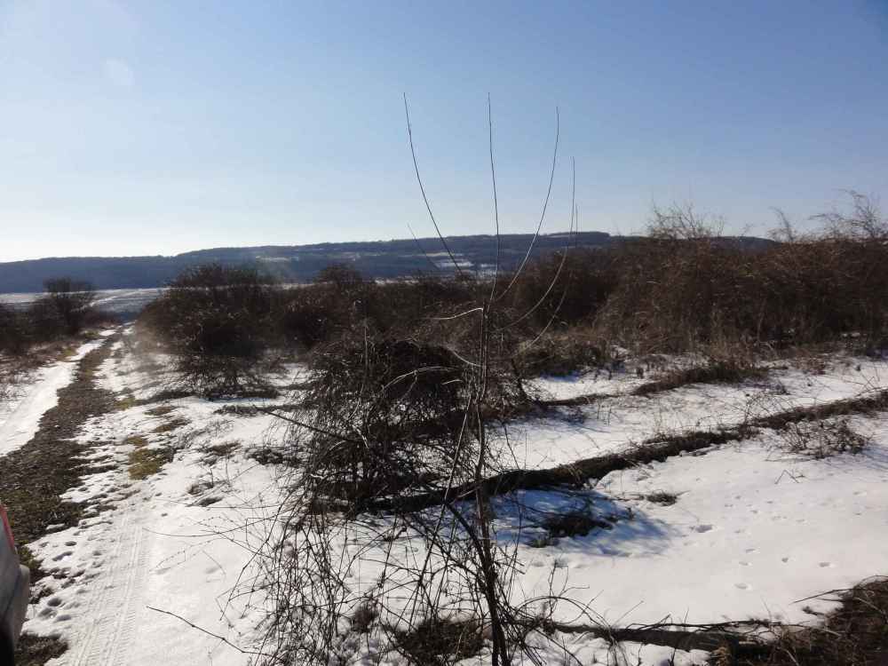 Парцел в с. Генерал Кантарджиево