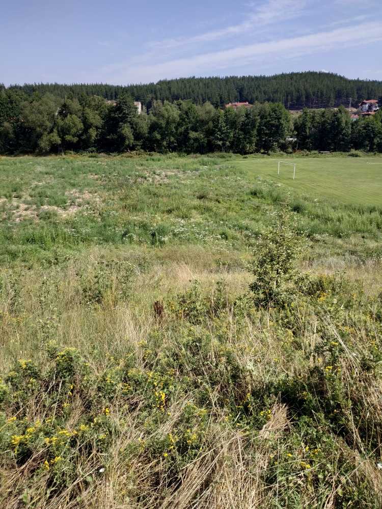 Парцел в гр. Добринище