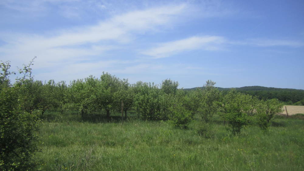 Земеделски имот в гр. Севлиево