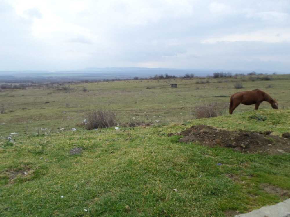 Земеделска земя в с. Кошарица