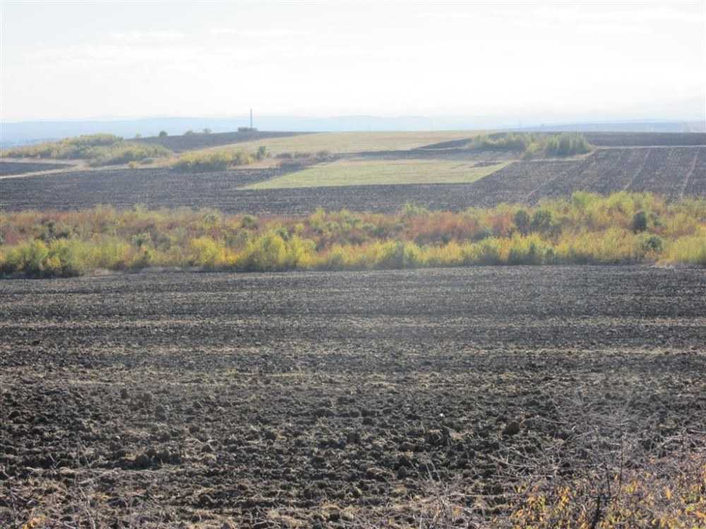 Земеделска земя Бряст