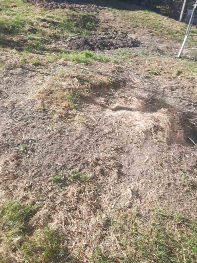 Парцел с къща Сливница