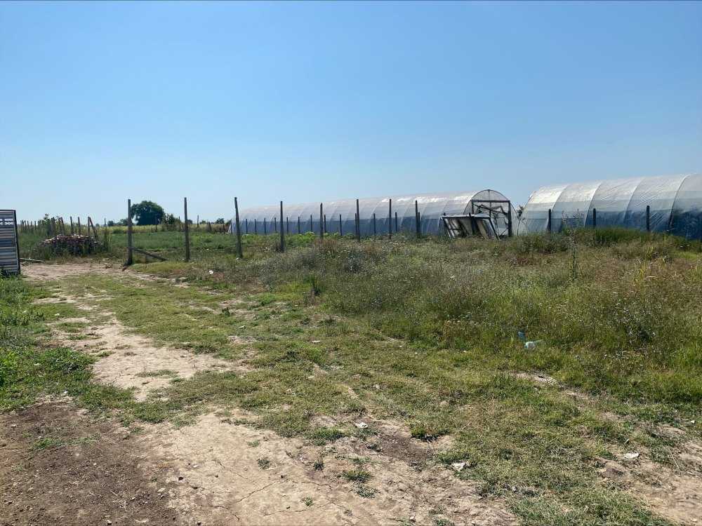 Земеделска земя Рогош