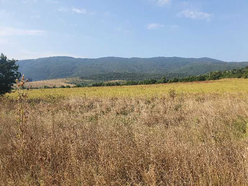 Земеделска земя Полянци