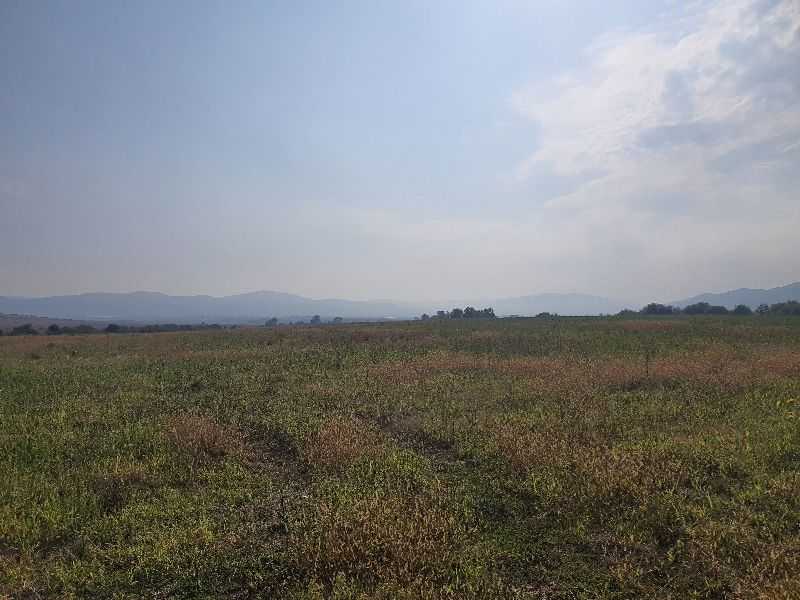 Земеделска земя Полянци