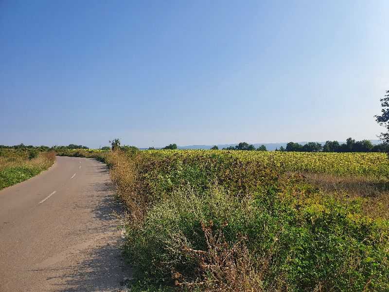 Земеделска земя Полянци