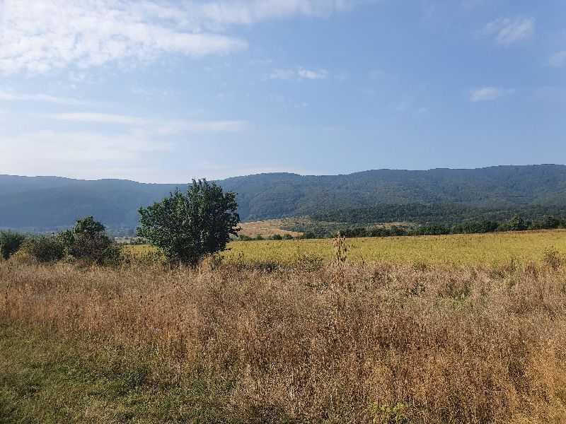 Земеделска земя Полянци