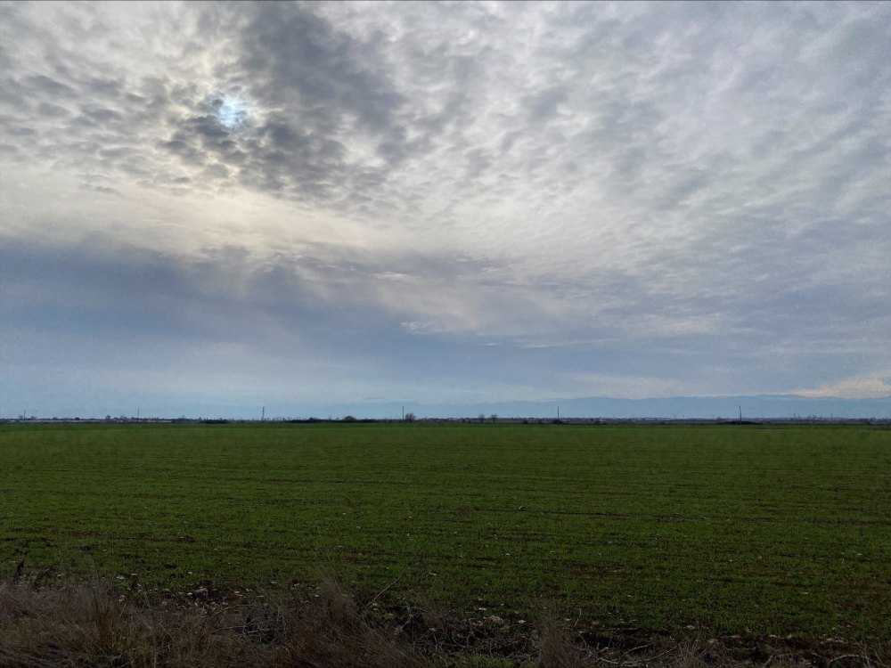 Земеделска земя Раковски