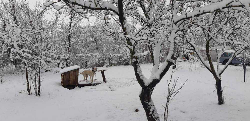 Земеделска земя Разград