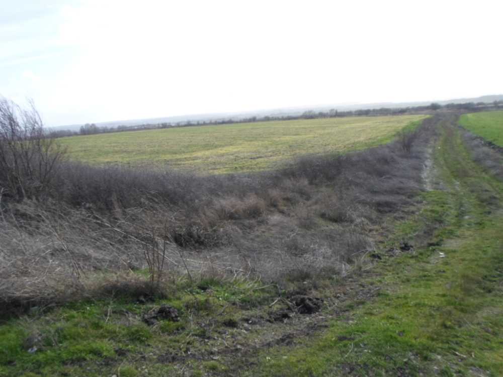 Земеделска земя Константиново