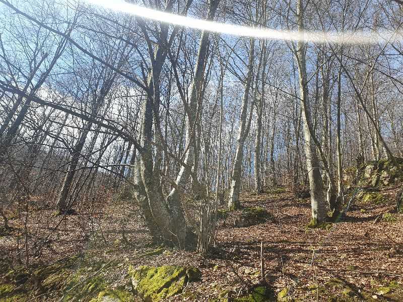 Земеделска земя Етрополе