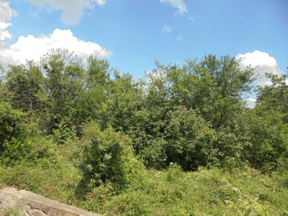 Парцел с къща в Сърнец