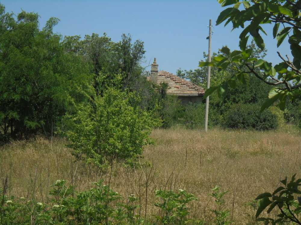 Парцел с къща Преспа