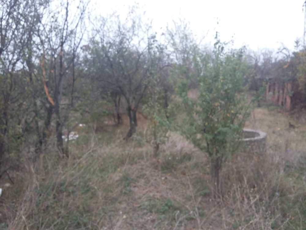 Парцел с къща Хасково