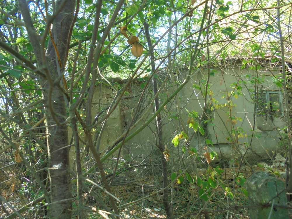 Парцел с къща Царичино