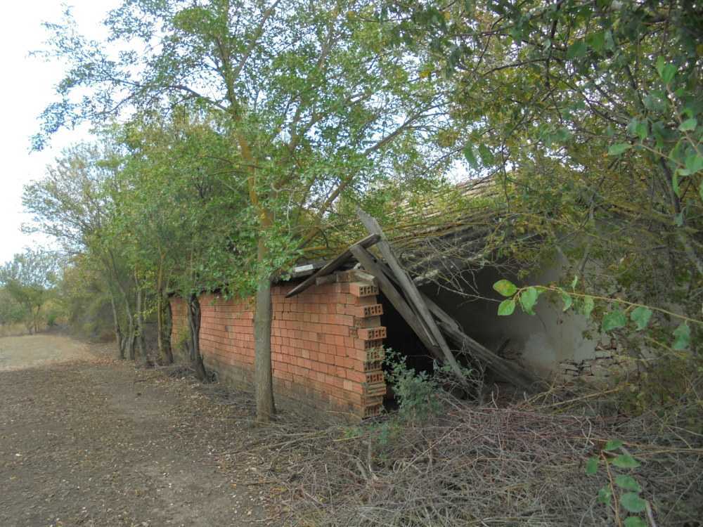 Парцел с къща Царичино