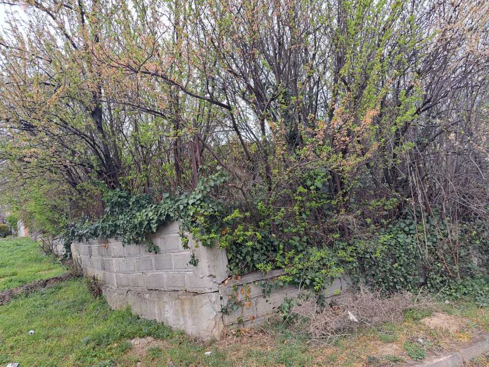 Парцел с къща Невестино