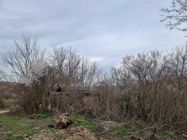 Парцел с къща в Беляново