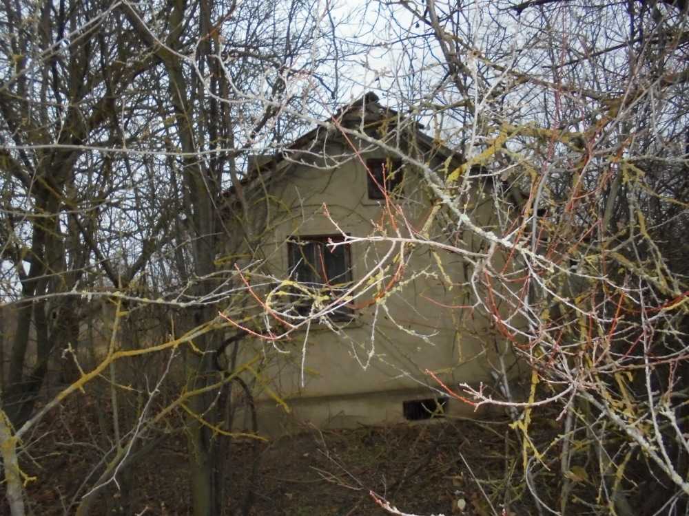 Парцел с къща в с. Дъбрава