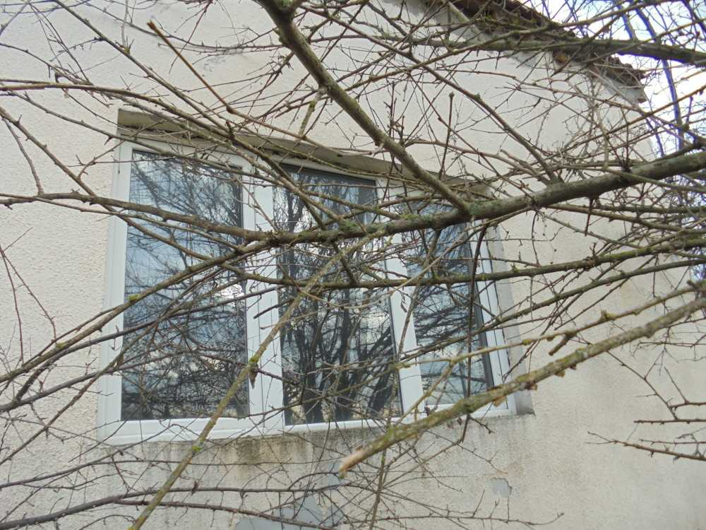 Къща с парцел в Дъбрава