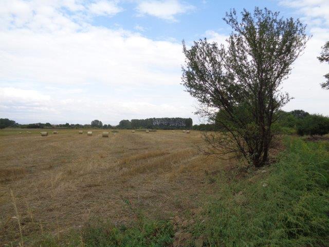 Земеделска земя Ляхово