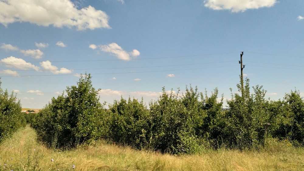 Земеделска земя Солник