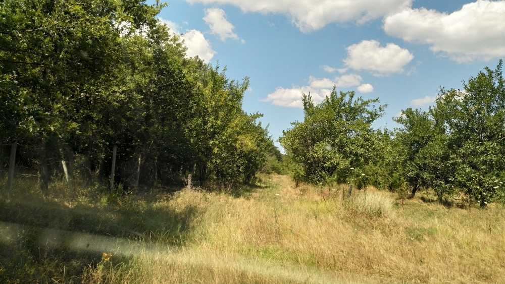 Земеделска земя Солник