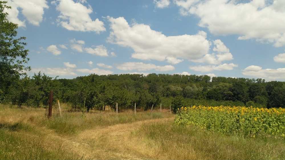 Земеделска земя Солник