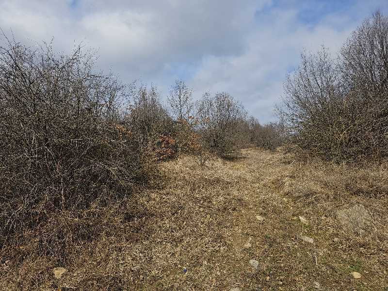 Парцел Етрополе