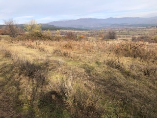 Земеделска земя Стрелча