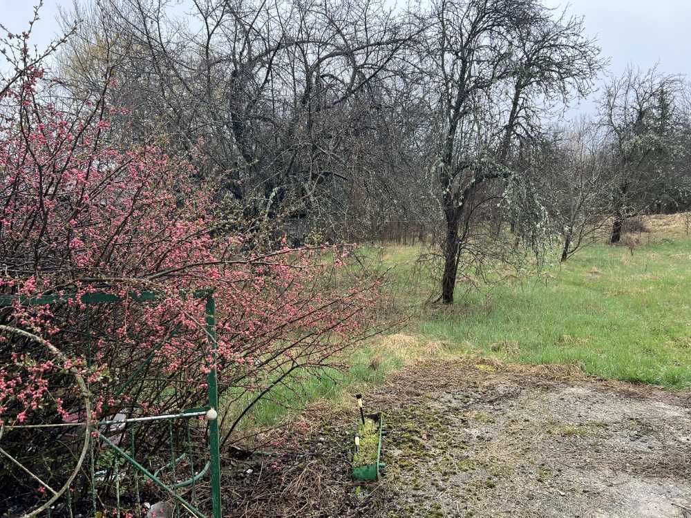 Парцел Ялботина