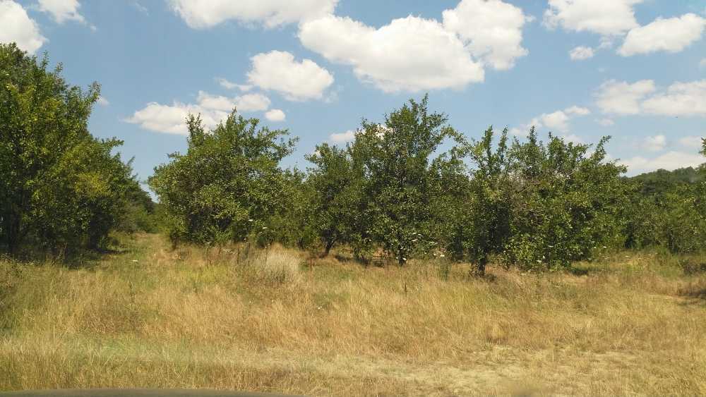 Парцел Солник