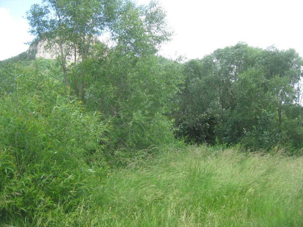 Парцел Смолян